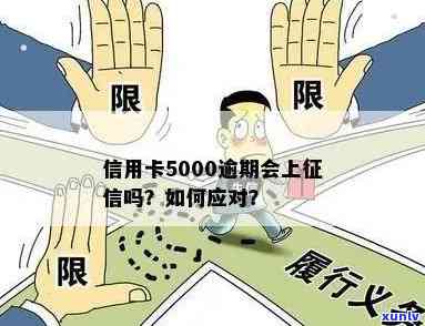 信用卡5000逾期半年，逾期半年的信用卡欠款达5000元，你需要注意什么？