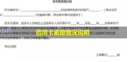 今年信用卡逾期情况说明范文，年总结：解析今年信用卡逾期情况