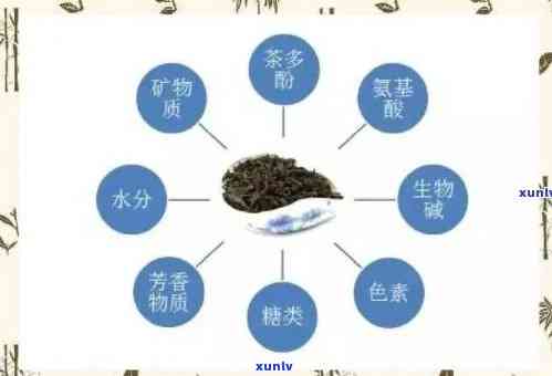 茶叶核心技术，探索茶叶的奥秘：关键技术解析与应用研究