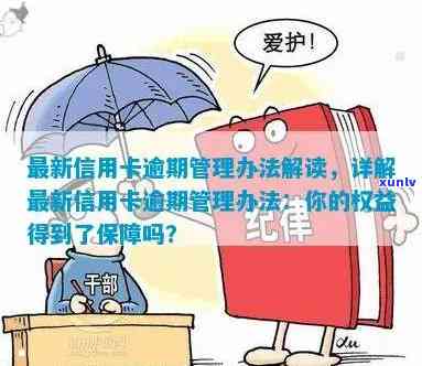 招行逾期法务部，深入了解招行逾期法务部：您的权益保障