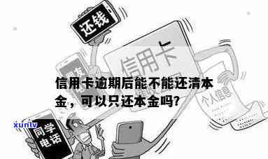 信用卡逾期后如何还清本金，信用卡逾期后，如何有效还清本金？