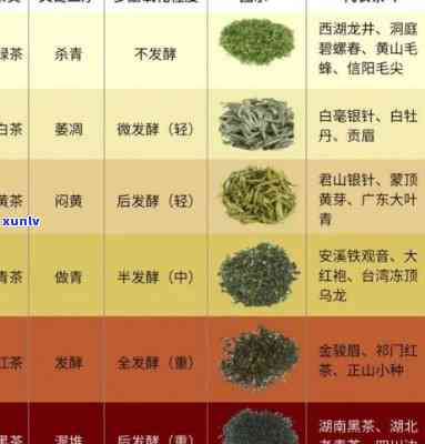 接待用什么茶叶？品味、好喝、合适的选茶指南