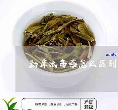 冰岛茶和岩茶的区别-冰岛茶和岩茶的区别是什么