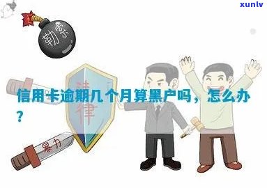 信用卡逾期如何查询是否成为黑户？全攻略！