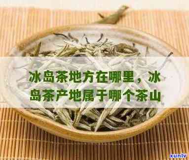 冰岛茶山是什么茶区的，揭秘冰岛茶山：解析其所属的茶区