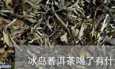 冰岛茶有润喉特点吗-冰岛茶有润喉特点吗为什么