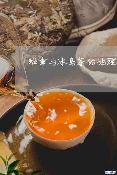 班张冰岛茶是地名吗-班章茶和冰岛茶的区别