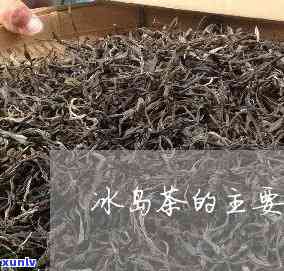 冰岛茶的特色有哪些-冰岛茶的特色有哪些呢