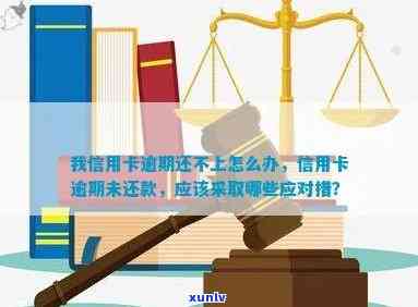 我信用卡逾期还不上怎么办，信用卡逾期还不上的应对策略