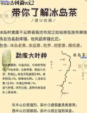 冰岛茶产自什么地方-冰岛茶产地在哪里