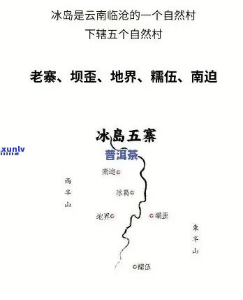 冰岛茶：产地、价格、口感及五寨排名全解析