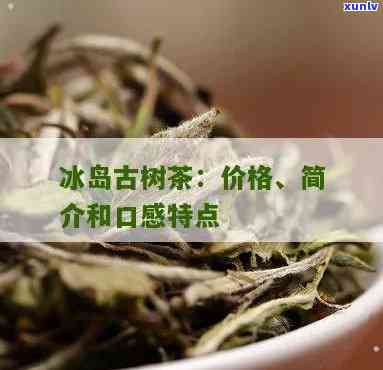 冰岛古树茶口感特点介绍，探秘冰岛古树茶：独特的口感特点解析