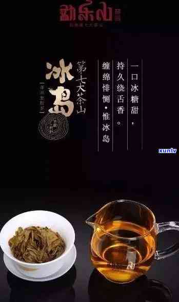 冰岛茶的口感是怎样，探索冰岛茶的独特口感：一次味蕾的冒险