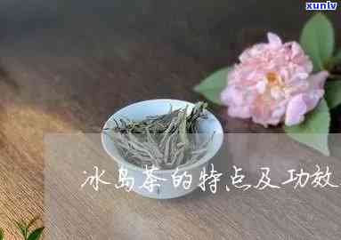 冰岛茶的优点和缺点-冰岛茶的优点和缺点是什么