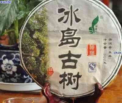 冰岛400年古树茶-冰岛400年古树茶饼价格表