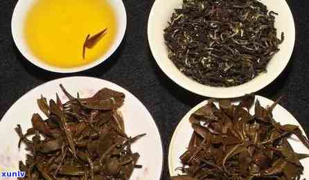 冰岛大树茶是白茶还是绿茶？探讨其定义、品种与价格