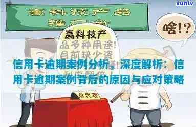 关信用卡逾期案例分析报告，深度解析：关信用卡逾期案例分析报告