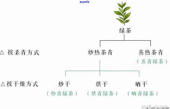 茗茶是什么茶叶？了解茗茶的及种类、功效与绿茶的关系