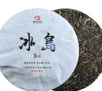 冰岛茶是什么品种的-冰岛茶是什么品种的茶