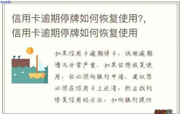 信用卡逾期账户停用了-信用卡逾期账户停用了怎么恢复