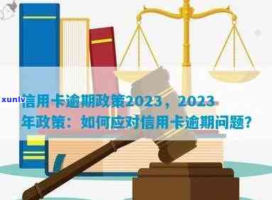 2023年信用卡逾期图片-2023年信用卡逾期图片 截图