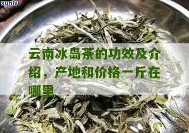 云南冰岛茶价格多少钱一斤，探究云南冰岛茶的价格：一斤要多少钱？