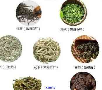 茶叶的种类及图片名称大全：包括各类别茶叶的功效与详细介绍