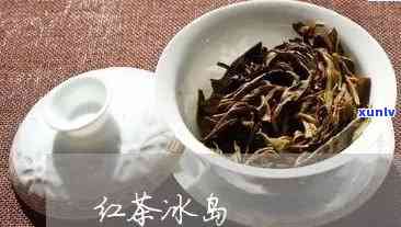 冰岛茶可以泡红茶吗怎么泡，如何用冰岛茶叶泡制美味的红茶？