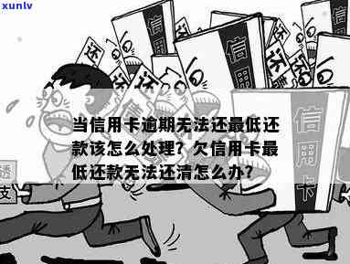 当信用卡逾期无法还更低还款该怎么处理，信用卡逾期无法还更低还款？教你如何妥善处理