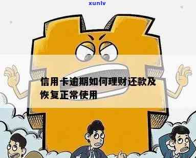 逾期后如何申请信用卡还款及恢复正常使用