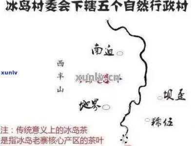 冰岛茶：揭示其地理位置与分布全貌