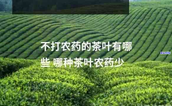 牡丹江茶位置及茶艺介绍