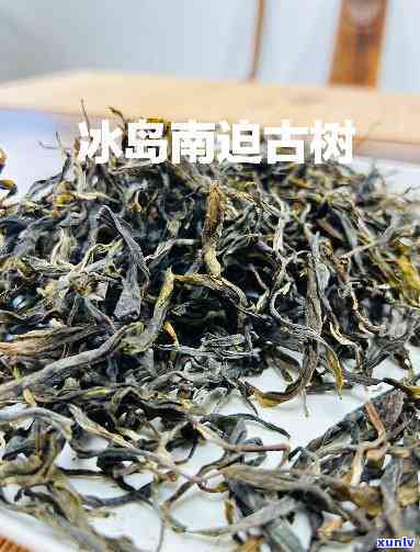 南坡冰岛古树茶口感-冰岛南迫古树茶