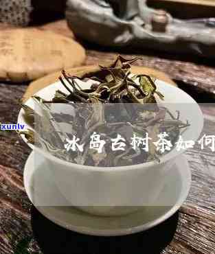 怎么保存冰岛古树茶？保质期及 *** 全解析