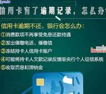 怎么查看信用卡逾期几次-怎么查看信用卡逾期几次了