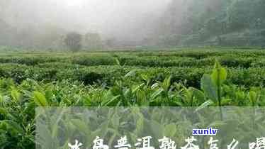 冰岛老寨熟茶怎么泡-冰岛老寨普洱熟茶