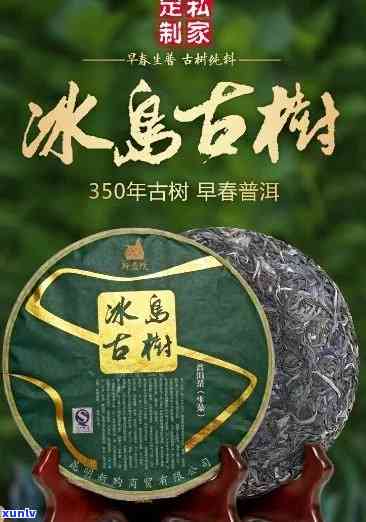 冰岛古木茶是什么茶，解密冰岛古木茶：一种独特的茶叶品种