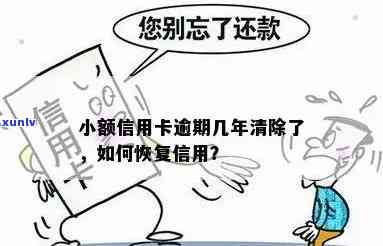 小额信用卡逾期几年清除-小额信用卡逾期几年清除记录