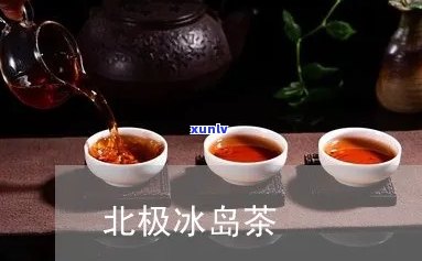 北冰岛喝的茶-北冰岛喝的茶是什么