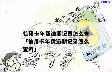 滇红金针与金芽：口感对比与选择建议，哪个更适合你的口味？