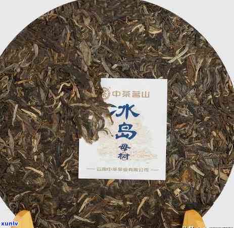 冰岛母树普洱茶价格，探索冰岛母树普洱茶的独特魅力：价格解析与购买建议