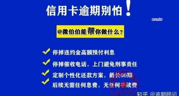 个人信用卡显示逾期-个人信用卡显示逾期怎么办