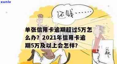 半年信用卡逾期5次-半年信用卡逾期5次会怎样