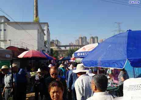 兰州一般喝什么茶，探寻兰州韵味：当地人民常饮何种茶叶？