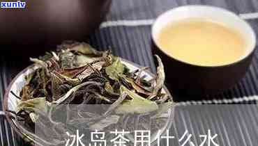 泡冰岛茶用什么水好-泡冰岛茶用什么水好喝