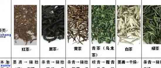 现在更流行的茶叶是哪些？品种、、名称全揭秘！