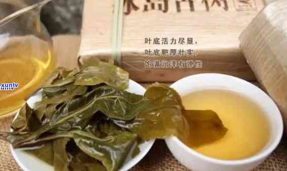 老树冰岛茶头的品质-冰岛老树茶厂