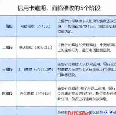 '州信用卡逾期3万怎么办？还款方式、影响及建议全解析'