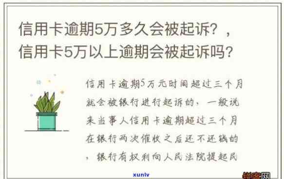 信用卡逾期5个常识-信用卡逾期5个常识是什么