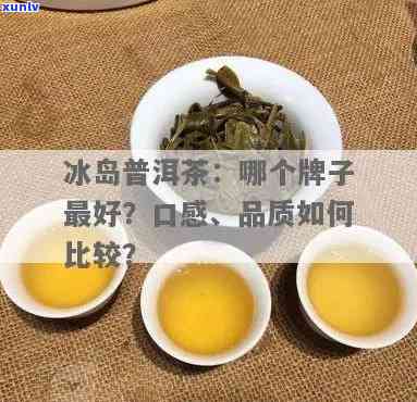 冰岛茶啥味道的好喝点？比较不同口感与品质的冰岛茶